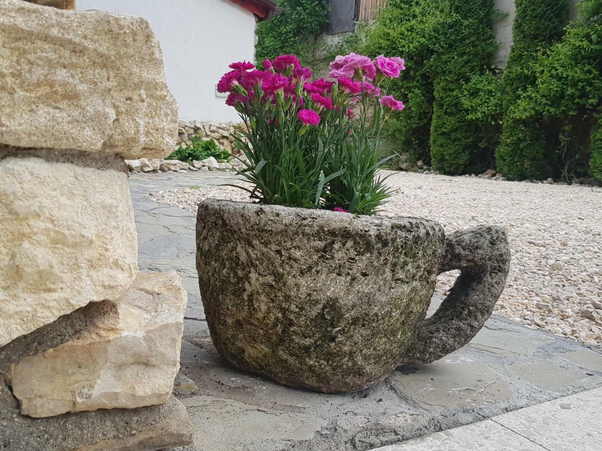 Casa Bergwald Daire Rîşnov Dış mekan fotoğraf